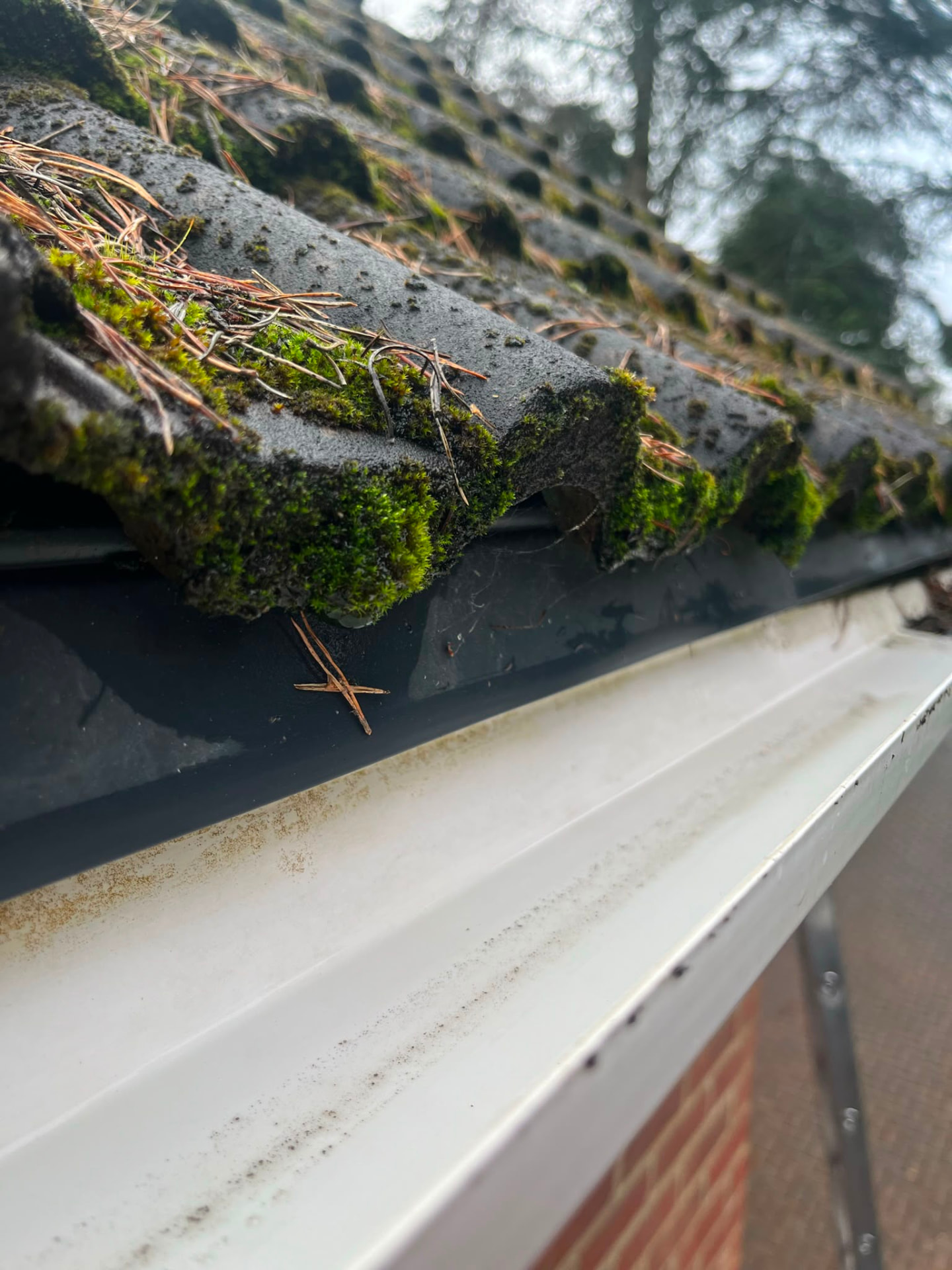 Gutter cleared of debris and flowing freely