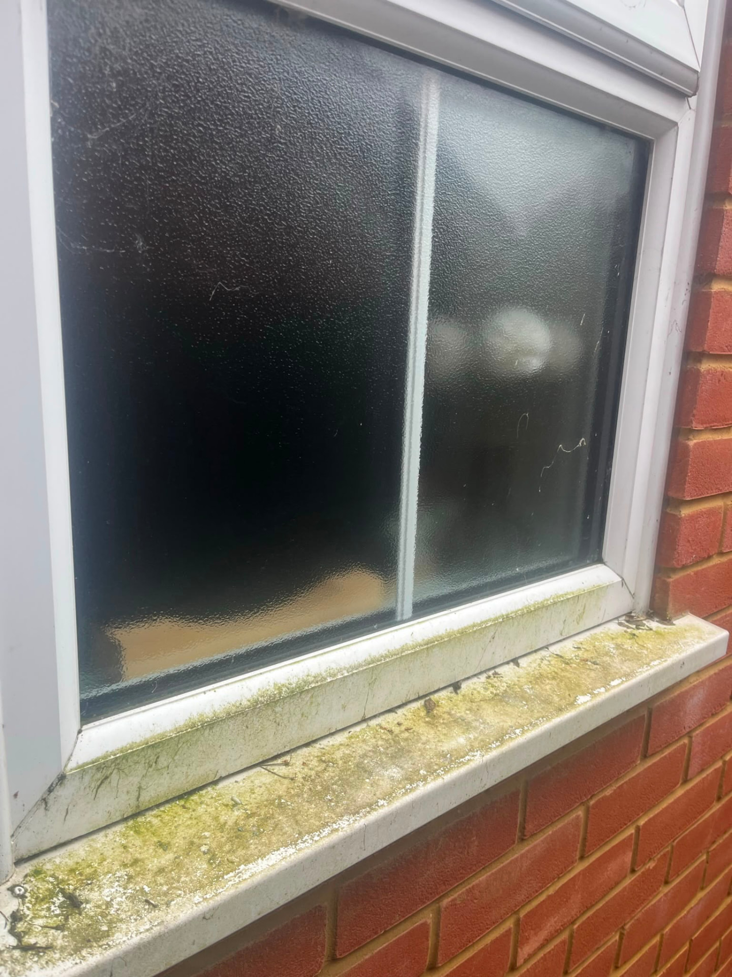 Dirty window and mossy sill before cleaning